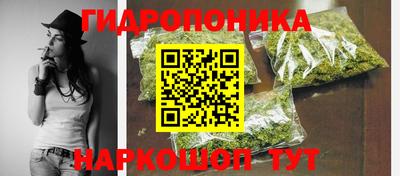 гидропоника Гусев