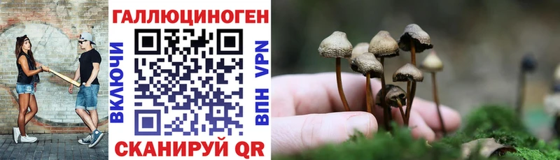 Псилоцибиновые грибы GOLDEN TEACHER  Мытищи 
