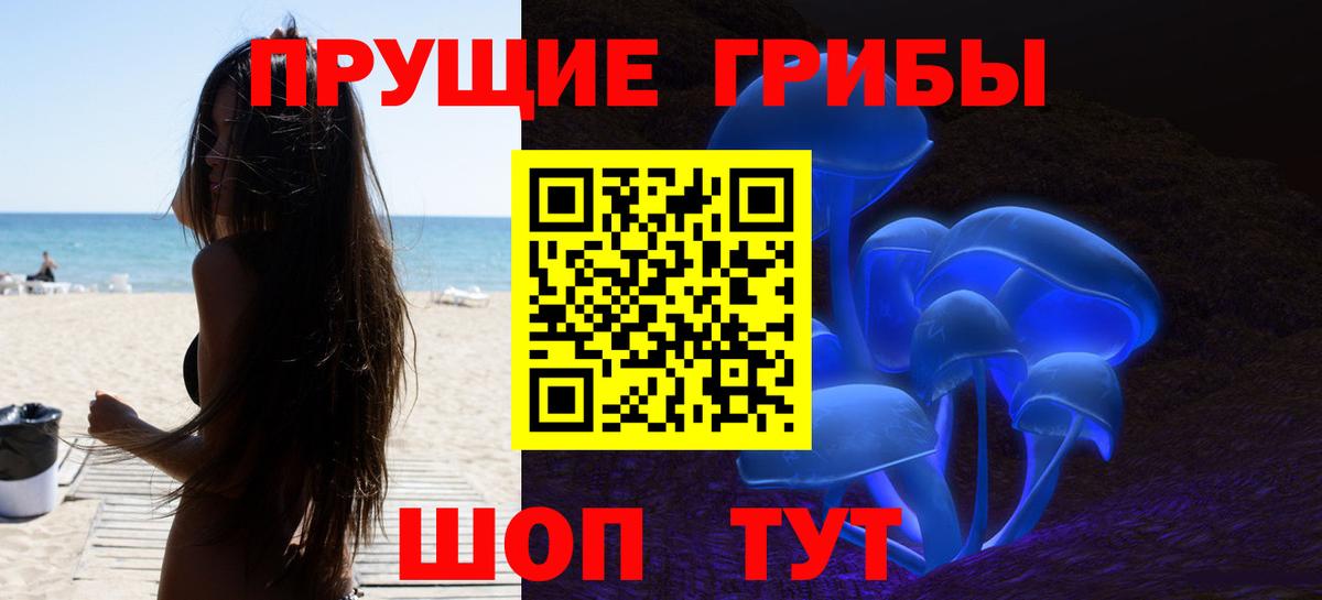 Мытищи  Псилоцибиновые грибы Psilocybe  Псилоцибиновые грибы Psilocybe  Вход с VPN 